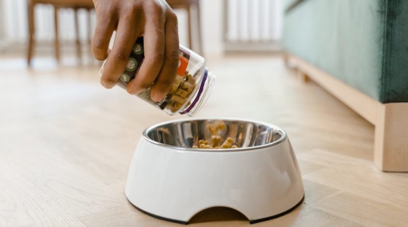 Упаковщик зоотоваров в Нидерланды (Утрехт)